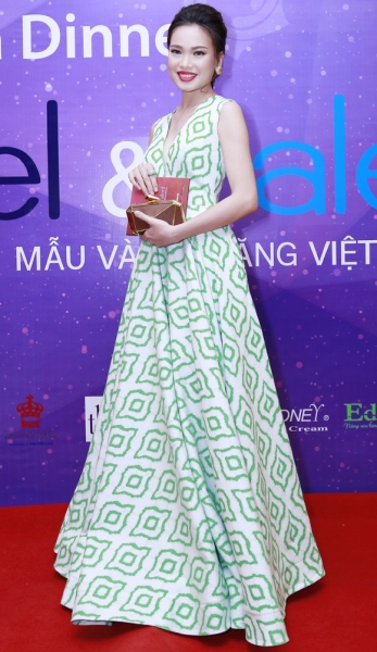 Gala từ thiện 'Mẫu và Tài Năng Việt Nam 2015' 2